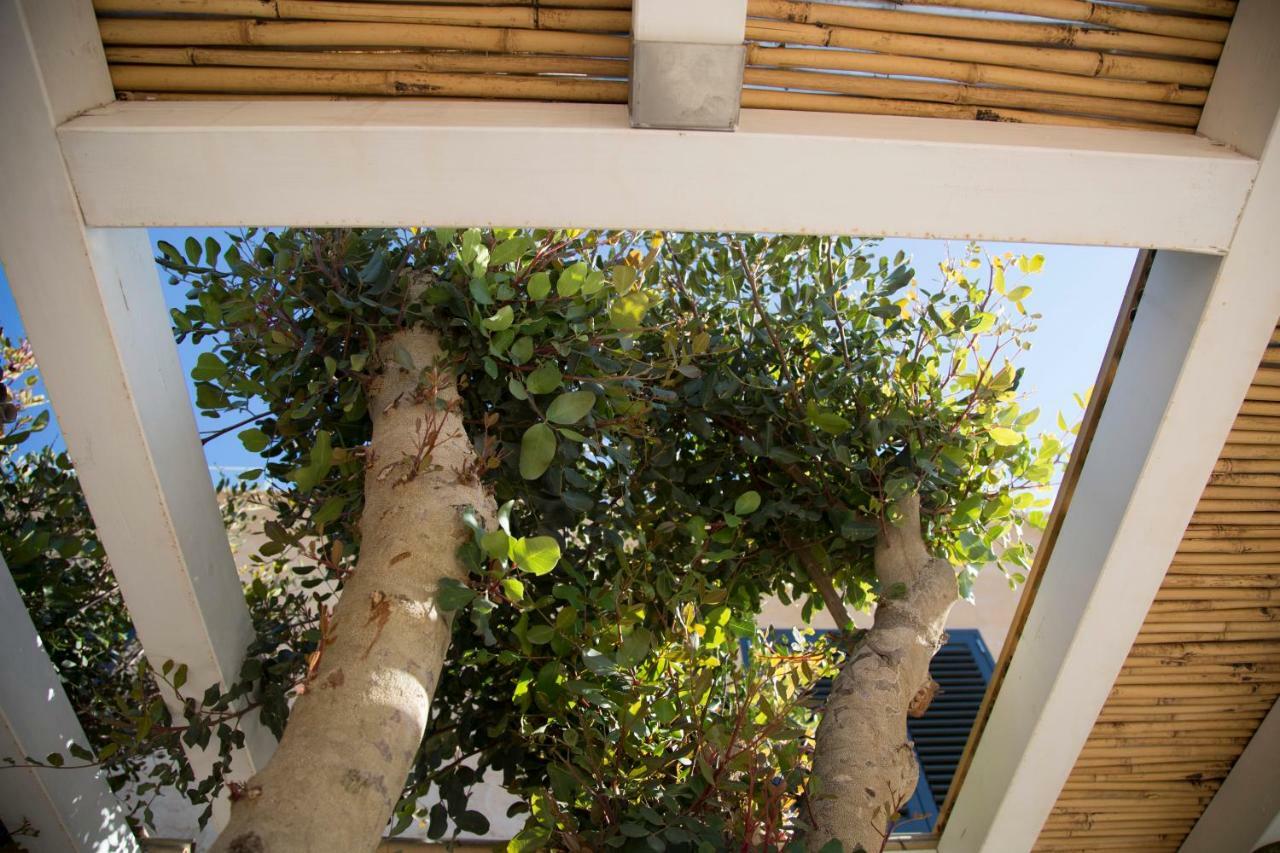Le Suites Del Carrubo Favignana Exteriér fotografie